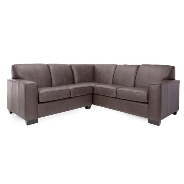 Sectional 3705